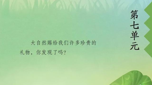 琴字的组词