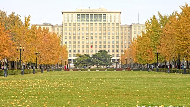 【热门】小学的小学作文500字锦集九篇