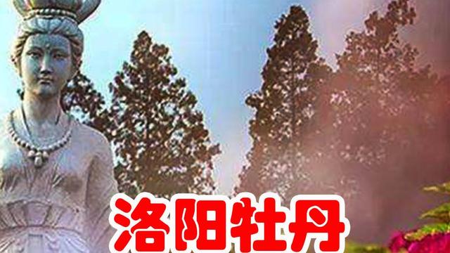 牡丹开花时间