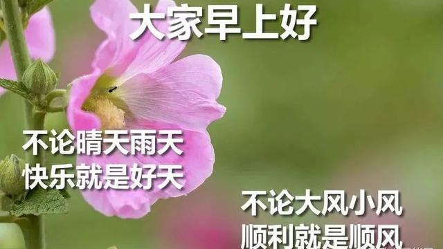 【热门】早安共勉句子朋友圈摘录52条