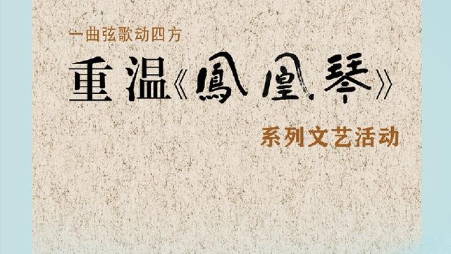 凤凰琴观后感精选