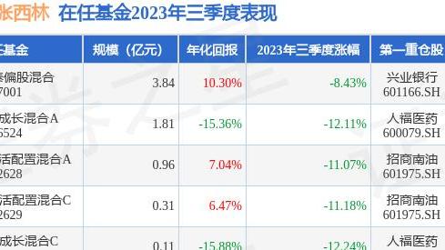 招商经理简历