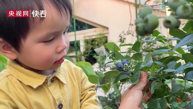 四年级小学生自我评价