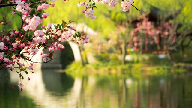 踏青的诗词