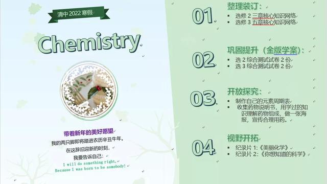 化学教学个人工作总结