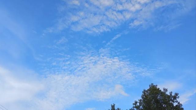 形容空气好的句子唯美