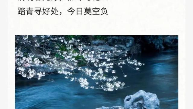 清明思故人作文400字