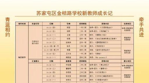 青年教师受指导后总结通用