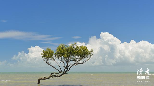 王尔德经典语录爱情