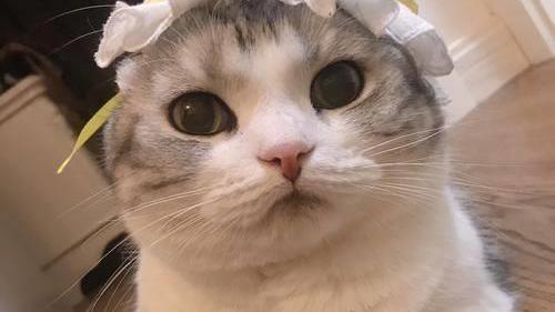 找工作幽默句子