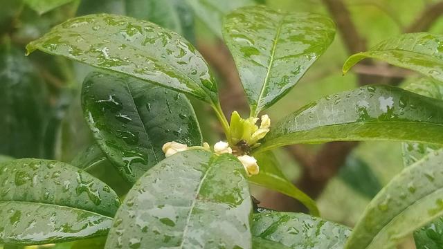教师个人职业发展规划范文