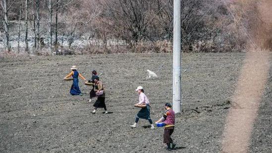 我的知青岁月