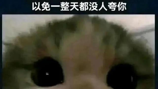 如何用欣欣向荣造句