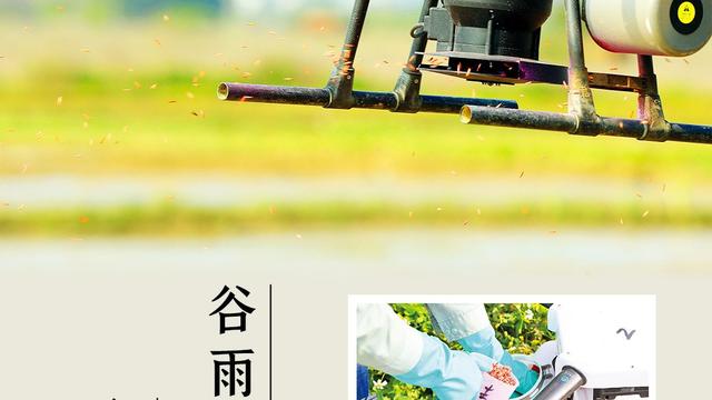 立夏农业谚语大全