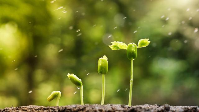 植树节宣传活动