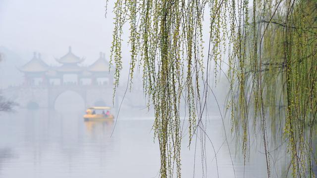 西江月夜行黄沙道中古诗翻译