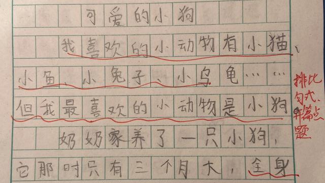 关于小乌龟二年级作文合集