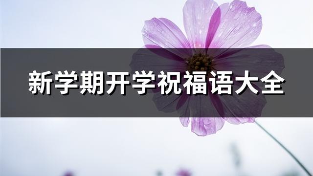 家长开学了发朋友圈的句子精选