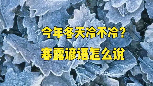 寒露气温大概多少度？寒露之后天气会变冷吗？