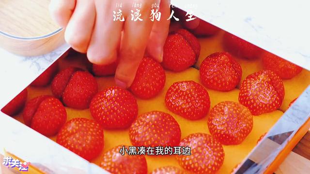 人生阅读训练题及答案