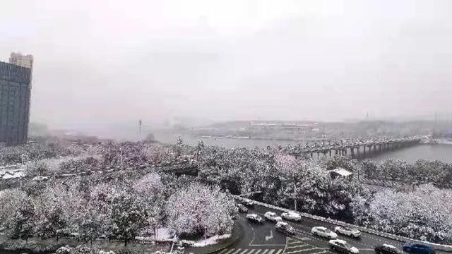 赞美春天雪花的诗句