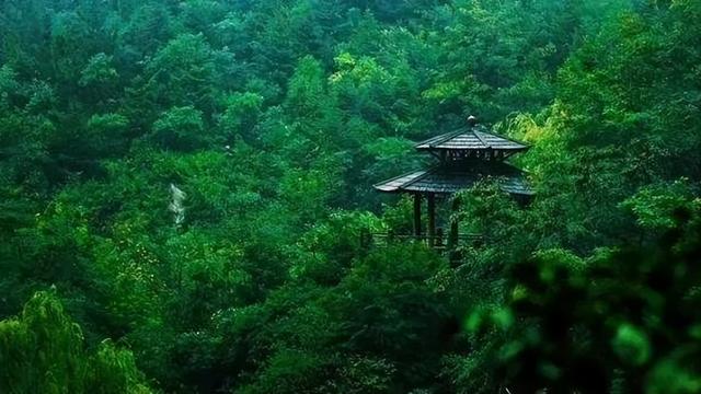 与大暑有关的诗