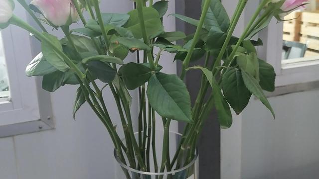 描写母爱的句子