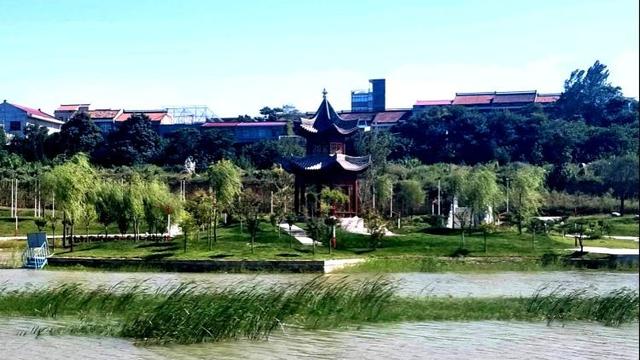 关于乡愁的诗句10句
