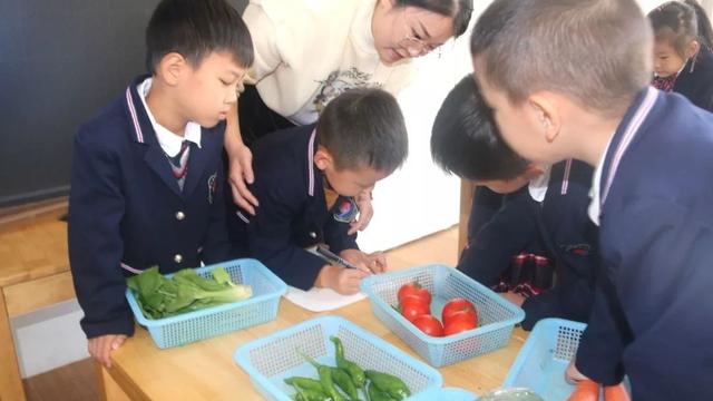 大班数学有用的统计教案精选