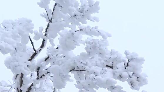 冬天下雪发朋友圈的句子
