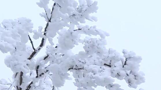 雪天的心情经典句子简单