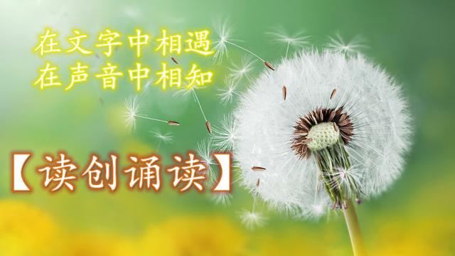 母亲节朗诵诗歌精选作品