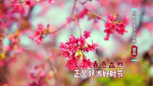 密云值得购买的土特产