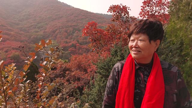 赞美母亲的句子要优美