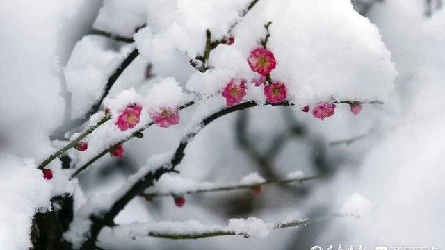 关于冰天雪地的情景造句