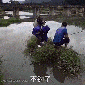 只有程序员才能看懂，句句戳心