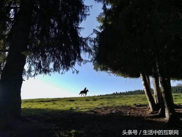 荣耀畅玩6X陪你走入双镜头下的新疆美景