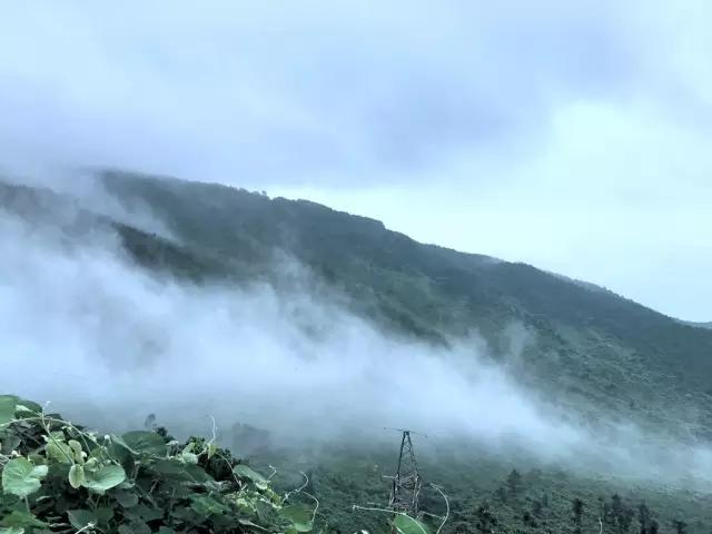 越南越囧：灵姑湾边的原味风景，海云岭上的无限“基情”