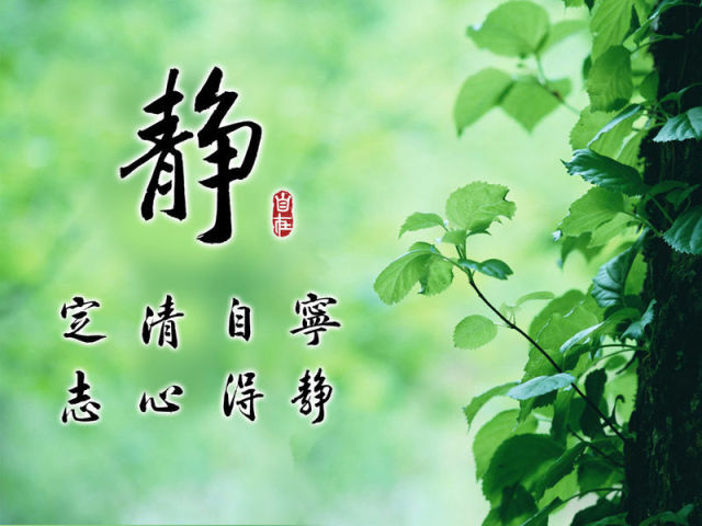 一个杀人犯为什么害怕梦里的油菜花