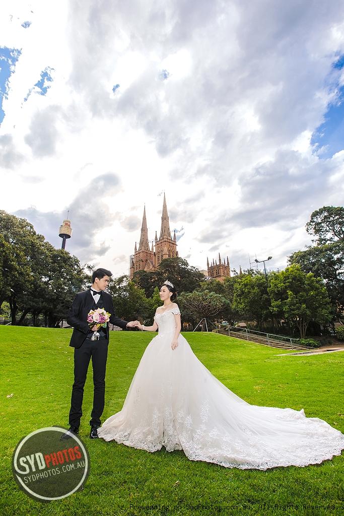 身在澳洲，该怎么解决婚恋问题呢？