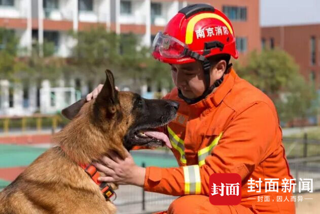 年老多病的功勋搜救犬，我想带你回北川看看