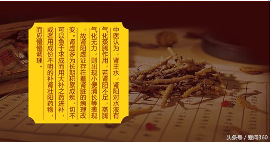 海狗丸最新功效大全！服用海狗丸注意事项！