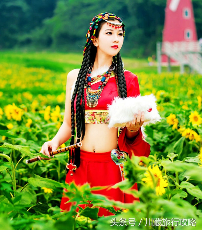 娶个藏族姑娘，不仅送了几百头牛羊，还在上海给我买了一套房！