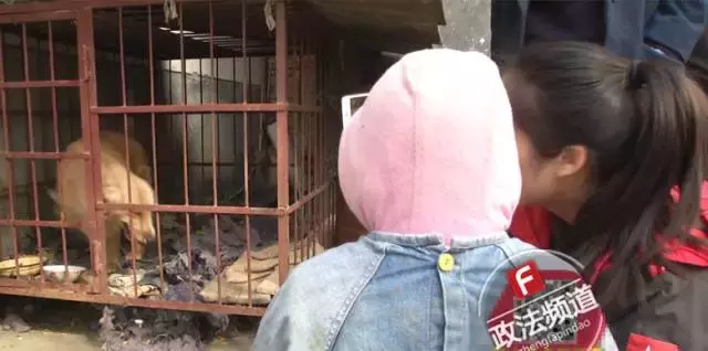 浏阳一妈妈将3岁女儿关进狗笼，说是“放着好玩”？！