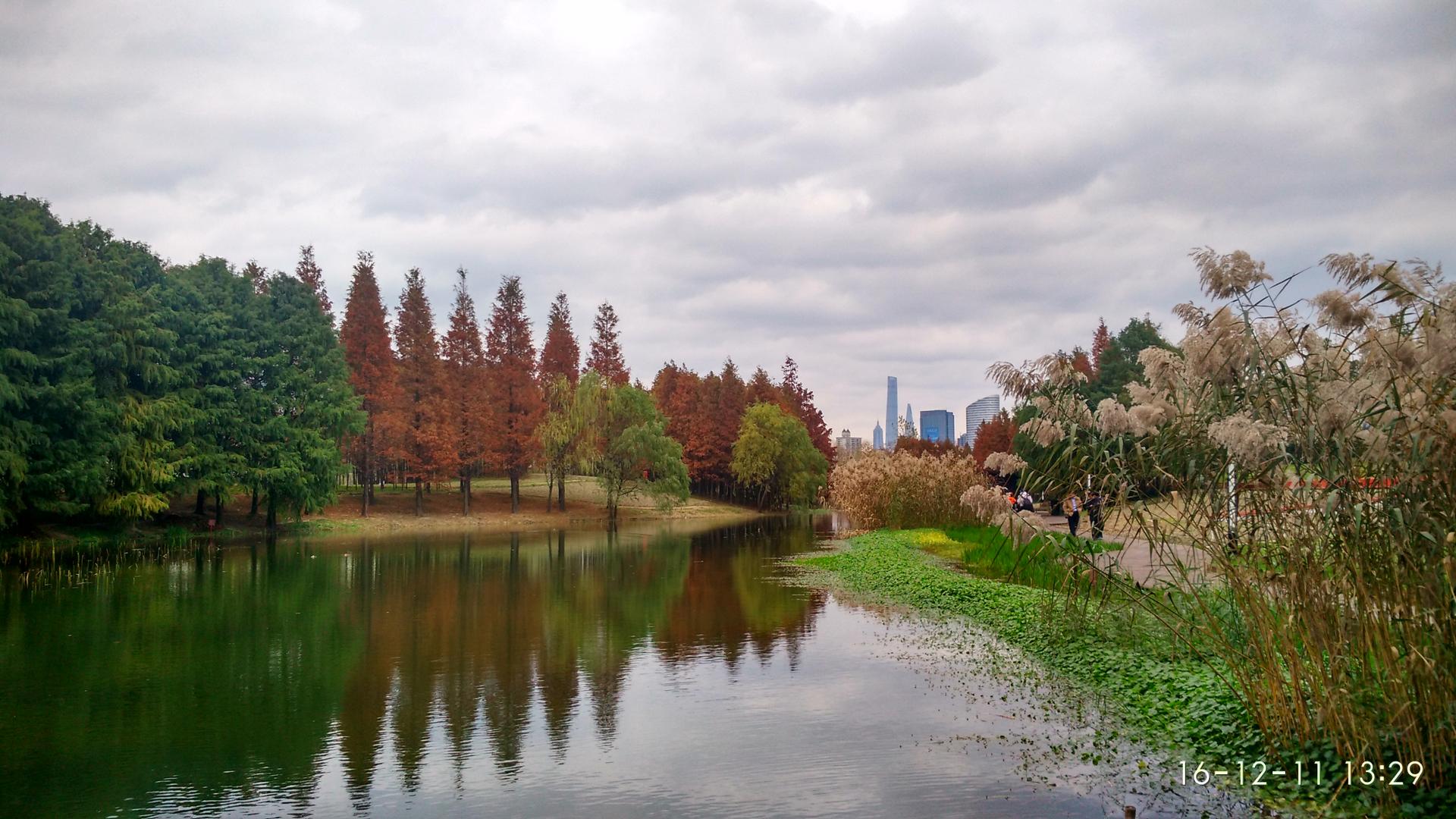 上海浦东后滩公园秋景美图