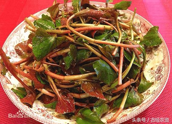 感觉体内有湿热，吃点鱼腥草就可以帮助祛除炎症