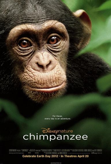 黑猩猩 2012.HD720P 迅雷下载