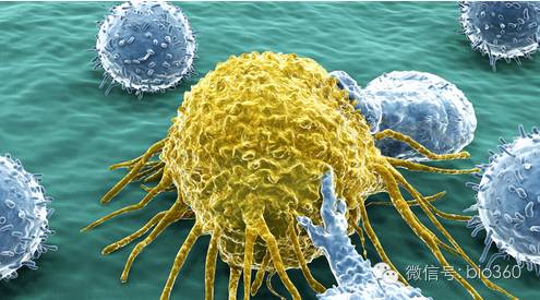 Nat Commun：几类癌症共有的新型蛋白质途径被发现