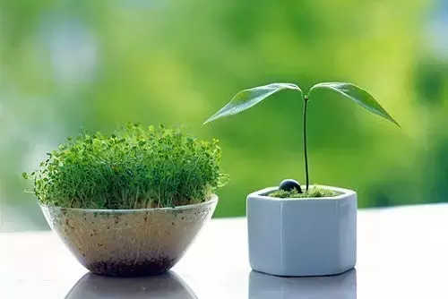 朋友圈，一些让人心静的语句