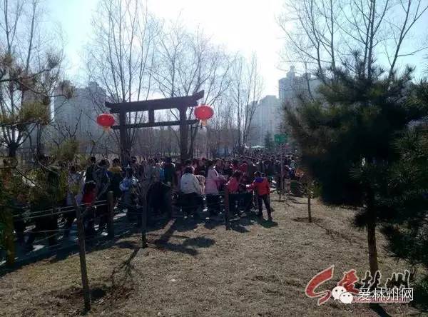 林州：春节哪里最热闹？看这儿...